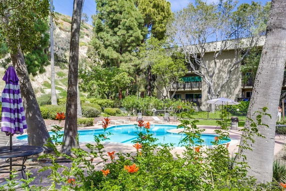 Outdoor swimming pool surrounded by lush greenery and trees.