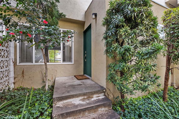 Front view of a house entrance with a small concrete porch and surrounding vegetation.