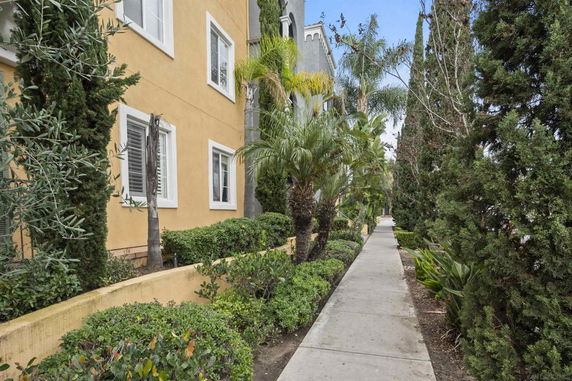 Side view of a building with a walkway, surrounded by palm trees and shrubs.