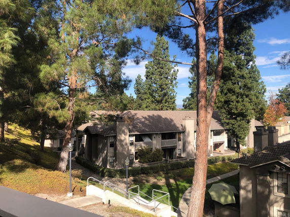 View of residential buildings surrounded by tall trees.