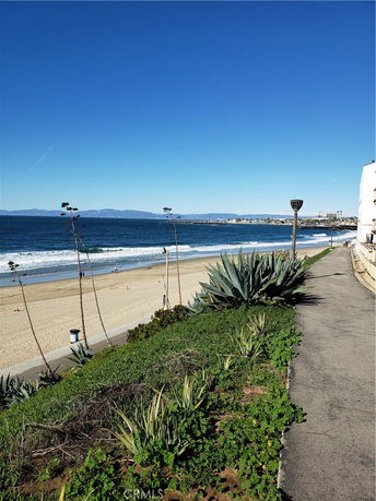 A view of a beach with ocean waves and a coastal pathway lined with plants.