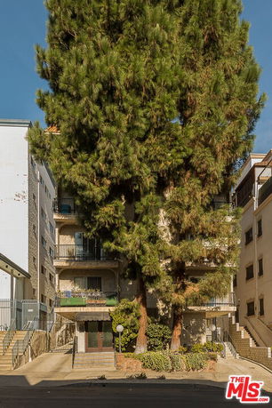 Front view of a multi-story building with a large tree in front.