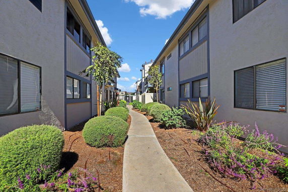 Pathway between residential buildings with windows and landscaped shrubs.