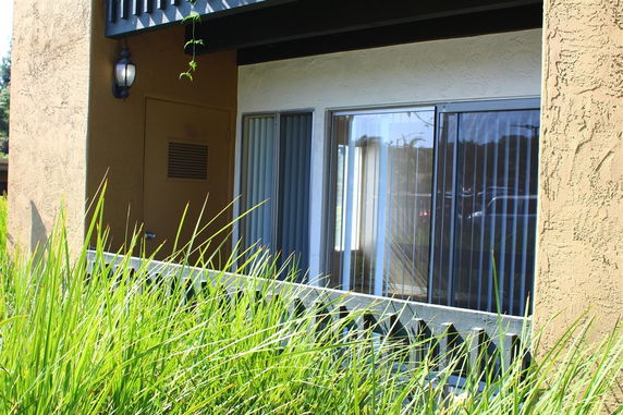 View of a building with sliding glass doors and vertical blinds, surrounded by tall grass.