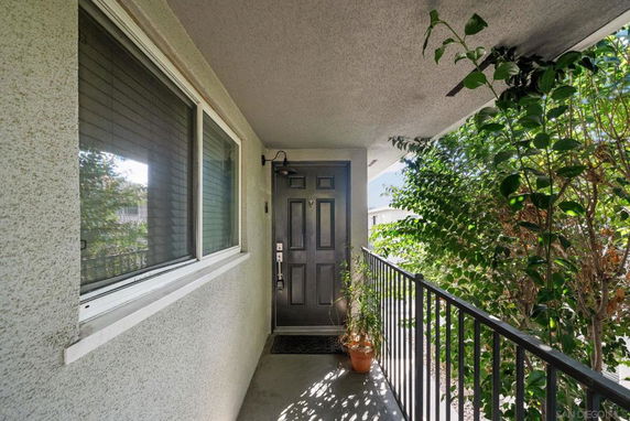 Front entry view of a house with a gray door, window on the left, and plants on the right.