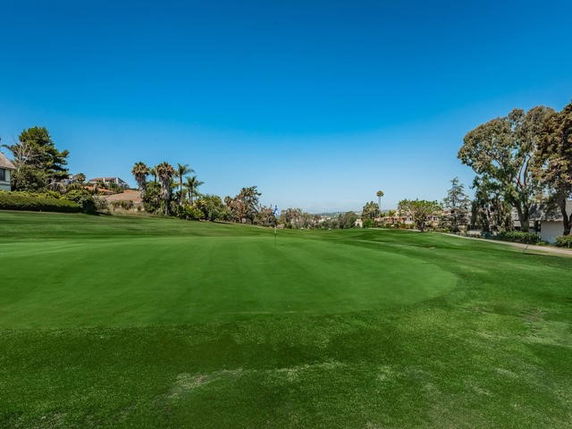 Image of a well-maintained golf course with a putting green and flagstick, surrounded by trees and residential buildings.