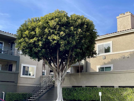 Front view of a multi-story residential building with exterior stairs.