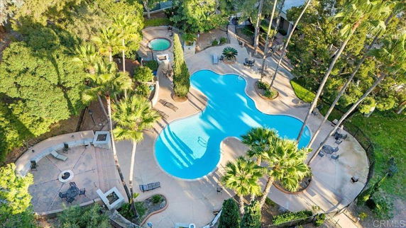 Aerial view of a curved outdoor swimming pool surrounded by palm trees and seating areas.