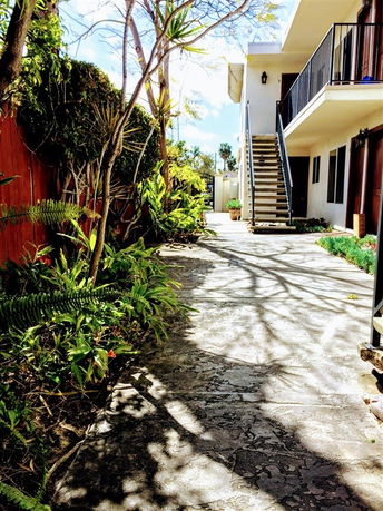 Outdoor view of building with staircase and surrounding plants.