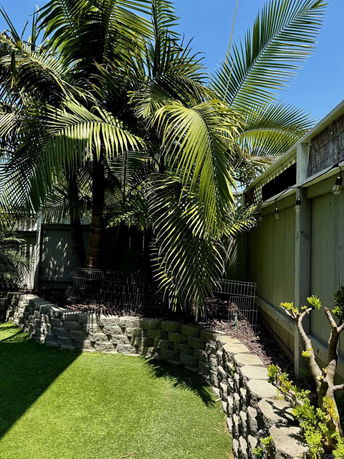 Outdoor area with palm trees and a stone retaining wall.
