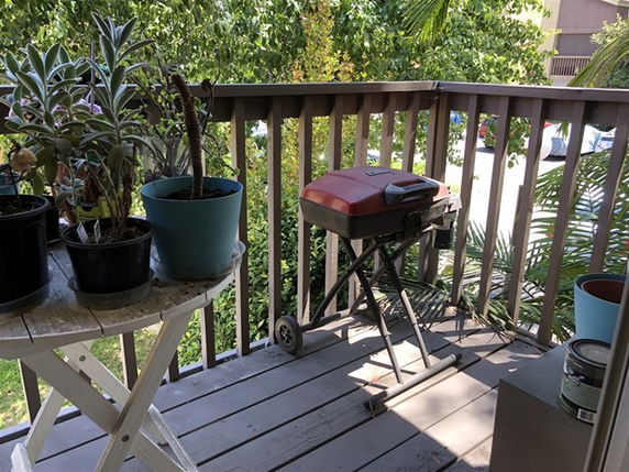 A small balcony with potted plants and a grill.