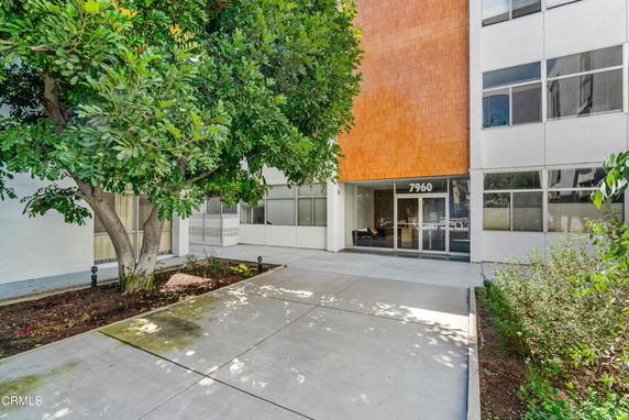 Front view of a building entrance with large windows and a tree nearby.