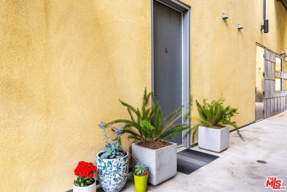 Front view of a yellow building entrance with potted plants.