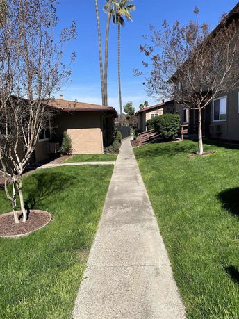 Pathway between residential buildings with a grassy area and trees.