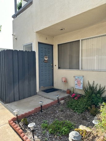 Front view of a house entrance with a decorative door and small garden.