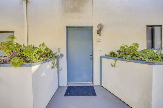 Front view of a door entrance with surrounding small walls and plants.