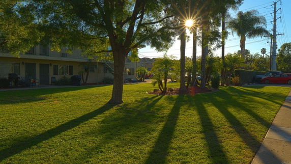 Outdoor view with trees, a lawn, and a building in the background.