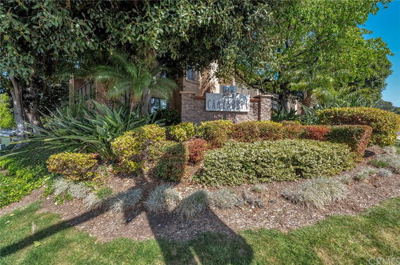 Front view of a building partially obscured by trees and shrubbery, with a stone sign reading 'Canterbury'.