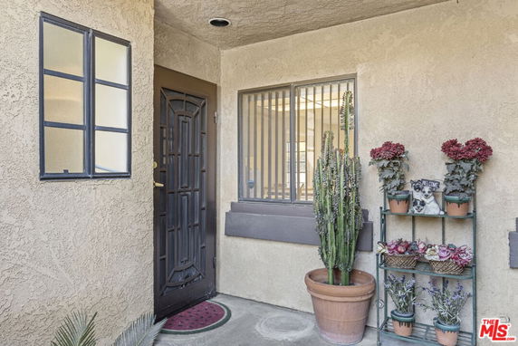 Front entry area of a house with a decorative door, window, and potted plants.
