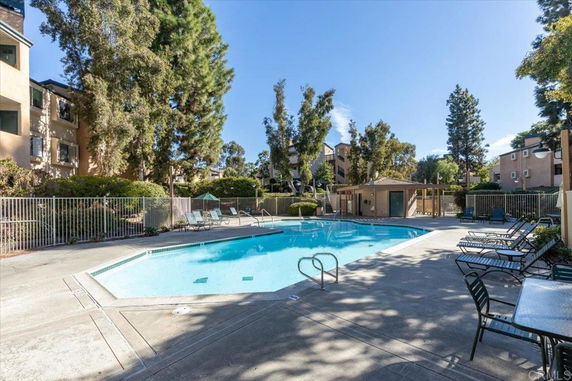 Outdoor swimming pool area with surrounding lounge chairs and greenery.