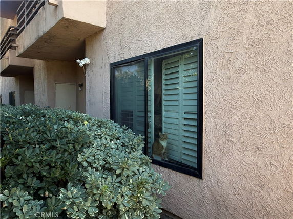 Front view of a building with a window and balcony.