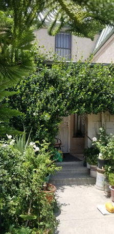 Front view of a house with green foliage arching over the entrance.