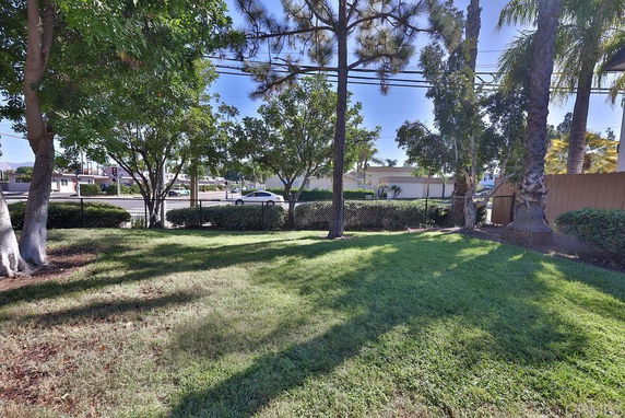 View of a grassy yard area with trees and a fence, adjacent to a road.