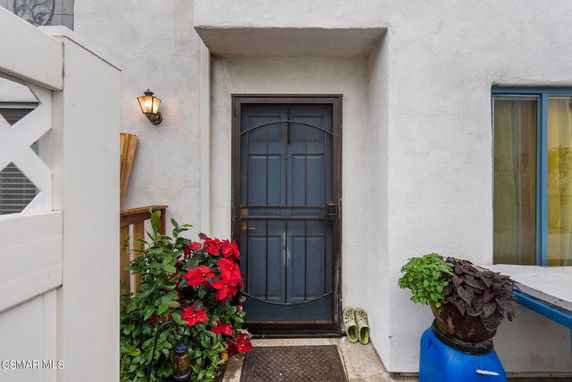 Front view of a house entrance with a door and plants.