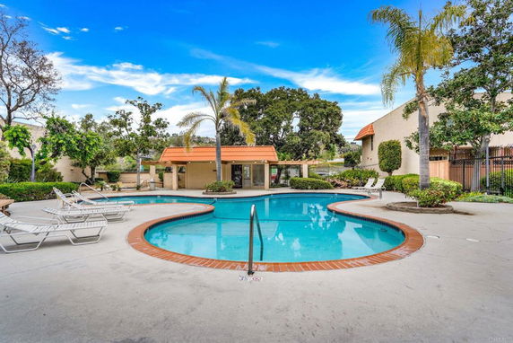 Outdoor swimming pool area with loungers and surrounding trees.