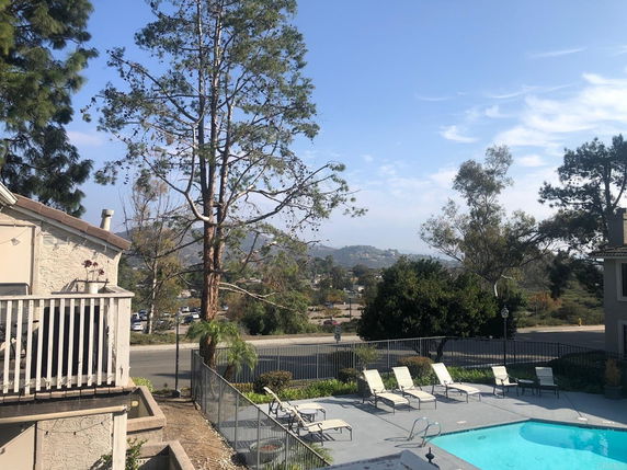 Outdoor view with a swimming pool, lounge chairs, and trees.