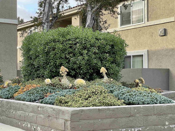 Front view of a multi-story building with a section of garden landscaping.