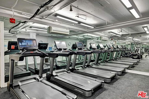 Indoor gym area with multiple treadmills and mirrors.