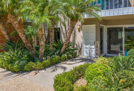 Front view of a house with a white door and large windows, surrounded by palm trees and shrubs.
