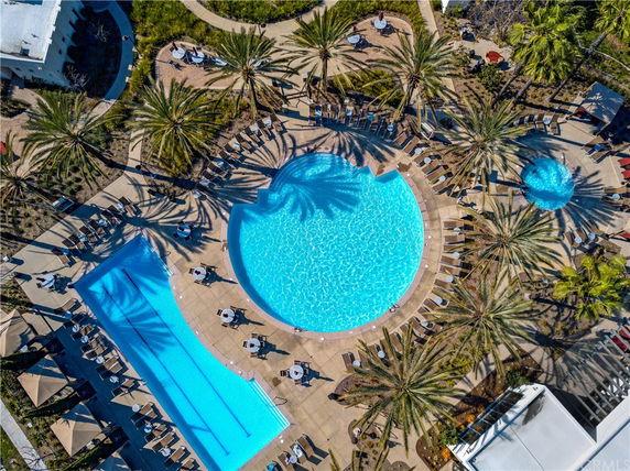 Aerial view of a pool area with a large round pool, a rectangular pool, and surrounding palm trees and lounge chairs.