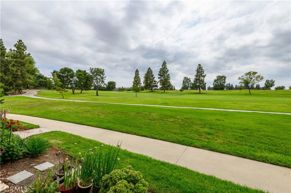 Expansive view of a grassy landscape with scattered trees and a cloudy sky.