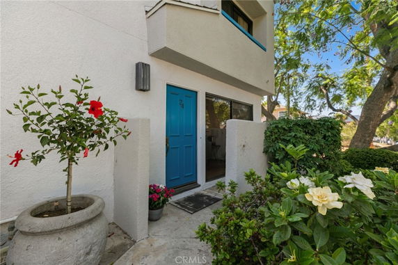 Front view of a building entrance with a blue door and surrounding plants.