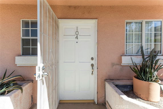 Front view of a house door with surrounding windows and potted plants.