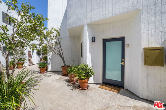 Front view of a modern house with a frosted glass door and potted plants.