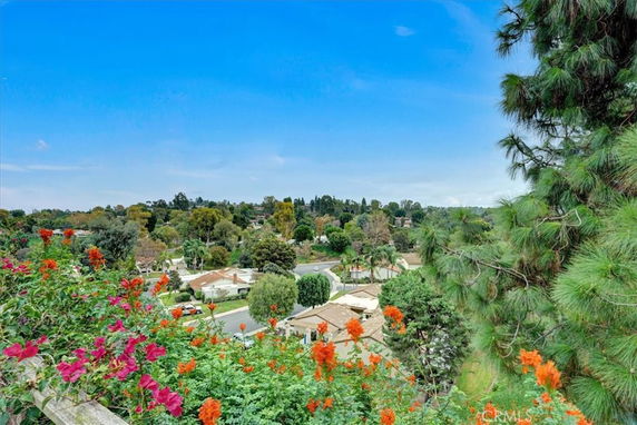 Panoramic view of residential area with greenery and distant houses.