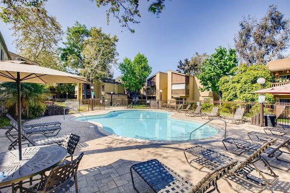 Outdoor view of a swimming pool surrounded by lounge chairs and trees.