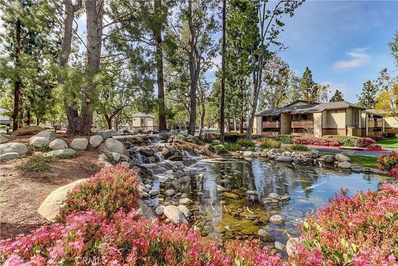 View of a landscaped area with a small pond, rocks, and trees near residential buildings.