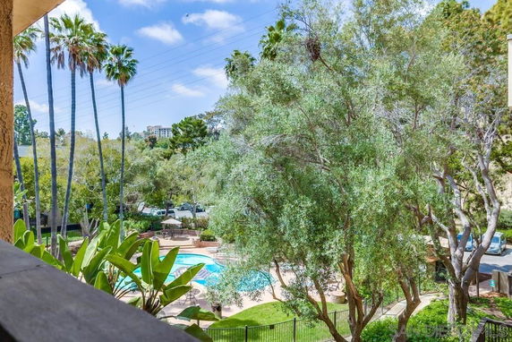 View from a balcony overlooking a swimming pool and surrounding trees with palm trees and distant buildings.