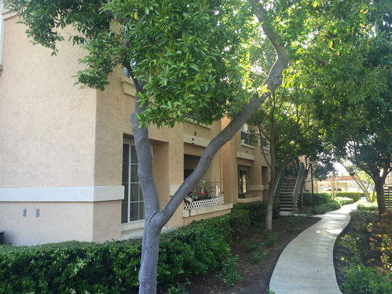 Front view of a two-story building with a pathway and trees in the foreground.