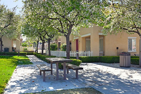 Front view of houses with white picket fences and trees in a residential complex.