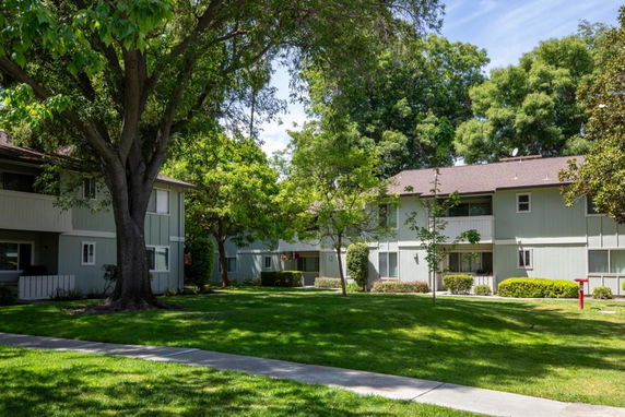 Front view of two-story residential buildings surrounded by trees and grass.