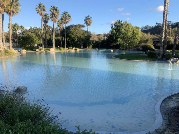 Scenic view of a pond surrounded by trees and palm trees.