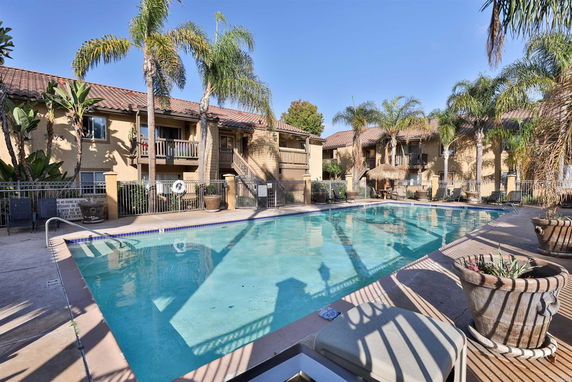 Outdoor swimming pool area with palm trees and adjacent buildings.