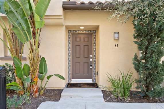 Front view of a house entrance with a brown door and surrounding plants.