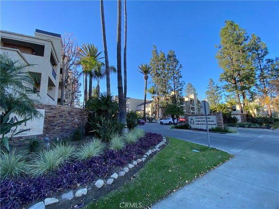 Front view of a multi-story apartment building with palm trees and landscaped area.