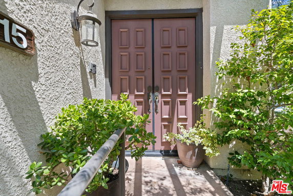 Front view of a house entryway with a brown double door and potted plants on either side.